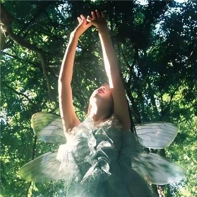 你的人生是我来迟了