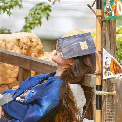 中国刑警803英雄本色